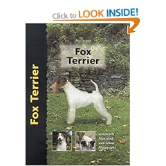Fox Terrier (Pet love)