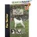 Fox Terrier (Pet Love)