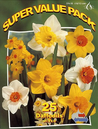 Daffodils mixed 25_bulbs