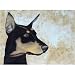 25 Pack Doberman Pinscher Note Cards by Dick Larsen