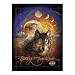 FX Schmid Majestic Sun 500 Piece Jigsaw Puzzle
