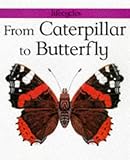 From caterpillar to butterfly