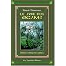 Druidisme, Chamanisme et Paganisme