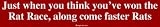 Just when you think you've won the Rat Race, along come faster Rats Bumper Sticker
