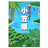 �D���ł�!���}�� (�j�b�|���y�y���߂���)