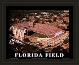 Florida Gators Framed Griffin Stadium Florida Gators Aerial Print NCAA College Athletics