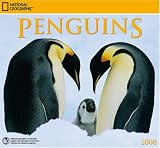 National Geographic Penguins 2008 Wall Calendar