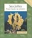 Books : Sea Jellies: From Corals to Jellyfish (Animals in Order)