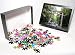 Photo Jigsaw Puzzle of Yoyogi Park, Harajuku, Tokyo, Japan, Asia from Robert Harding