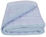 Tadpoles Basics Blue Gingham Coverlet