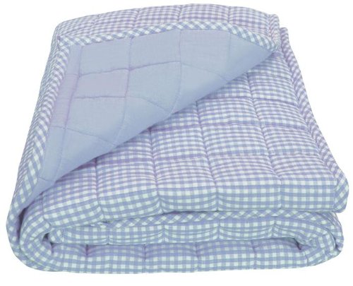 Tadpoles Basics Blue Gingham Coverlet