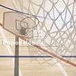 Basketball Scrapbook Paper