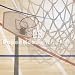 Basketball Scrapbook Paper