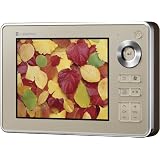 TOSHIBA gigabeatVシリーズ ワンセグ視聴と録画/再生機能搭載 ﾌﾗｯｼｭﾒﾓﾘ4GB内蔵 SD/SDHCｶｰﾄﾞ対応オーディオプレーヤー MEV41(N) シャンパンゴールド
