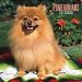 Pomeranians 2007 Calendar by Browntrout Publishers