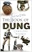 The Not So Little Book of Dung by Caroline Holmes