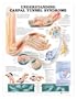 Carpal Tunnel Syndrome Chart