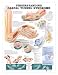 Understanding Carpal Tunnel Syndrome Anatomical Chart Plastic