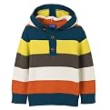 Toddler Boys' Genuine Kids from OshKosh Hooded Sweater - Multi