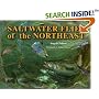 Saltwater Flies of the Northeast