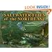 Saltwater Flies of the Northeast