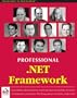 Professional .NET Framework