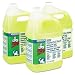 Mr. Clean 02621 Finished Floor Cleaner, 1 Gallon (Case of 3)