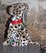 Heeta the Cheetah (Namibia)