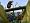 Open Season (PS2)