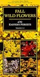 Fall Wild Flowers of the Eastern Forests [VHS]
