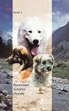 Produkt-Bild: Pyren&auml;en, Sch&auml;fer, Hunde: Vom Urhund zum H&uuml;tehund und Herdenschutzhund am Beispiel der Pyren&auml;en