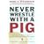 Never Wrestle with a Pig and Ninety Other Ideas to Build Your Business and Career