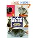 Guide to Owning a Chinchilla