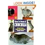 Guide to Owning a Chinchilla