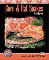 Corn and Rat Snakes (Complete Herp Care Series)