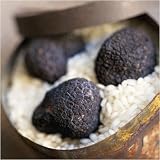 Fresh Burgundy Truffles from Italy - Tuber uncinatum