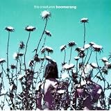 Boomerang