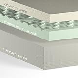 IMAGE OF Anatomic Global M-123A14511 12-inch Lumbar Back Support Memory Foam Mattress - Twin