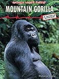 Mountain gorilla