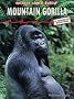 Gorilla  (Animals Under Threat)
