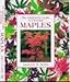 The Gardener's Guide to Growing Maples