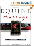 Equine Massage Therapy: A Practical Guide