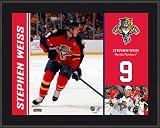 Stephen Weiss Sublimated 10x13 Color Plaque | Details: Florida Panthers