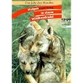 Das Jahr des Hundes - Welpenerziehung in einem Wildhundrudel