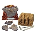 Velociraptor Fossil Excavation
