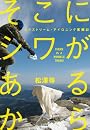 そこにシワがあるから──エクストリーム・アイロニング奮闘記