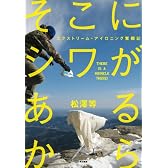 そこにシワがあるから──エクストリーム・アイロニング奮闘記