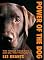 Power of the Dog: Things Your Dog Can Do That You Can't