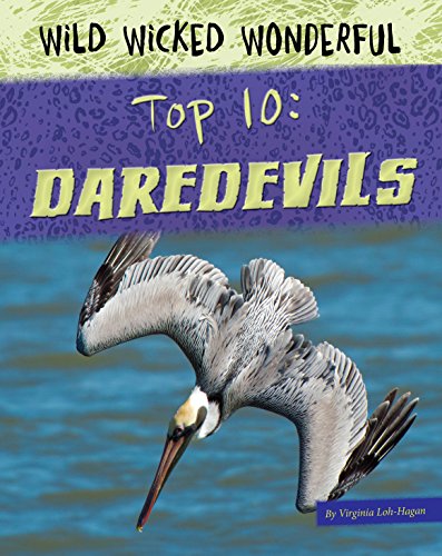 Daredevils (Wild Wicked Wonderful)