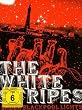 The White Stripes - Under Blackpool Lights